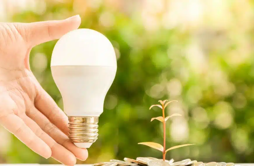 Les ampoules économiques : un choix intelligent pour réduire sa facture d’électricité